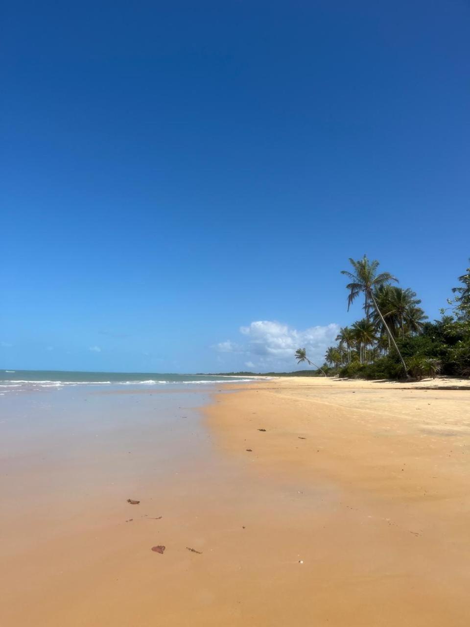 X De Caraíva
